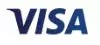 visa payment